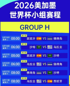 世界杯比赛精彩瞬间 雷速体育直播
